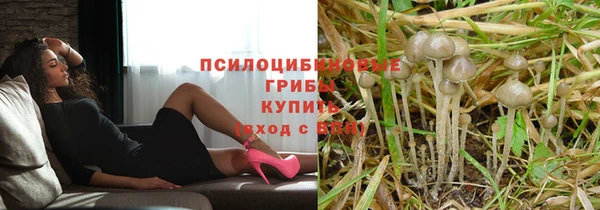 крисы Абинск