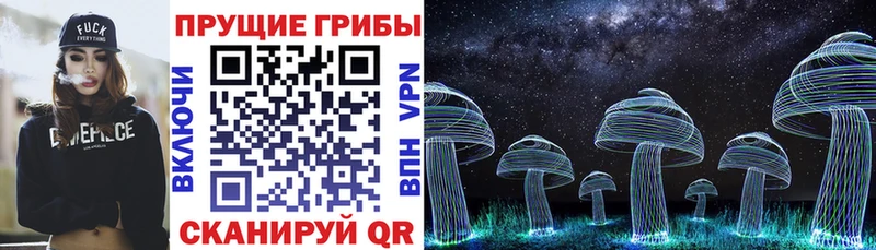 Псилоцибиновые грибы GOLDEN TEACHER  Ростов-на-Дону 