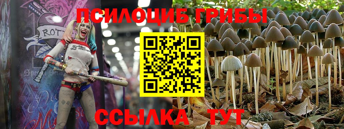 Галлюциногенные грибы мицелий Ростов-на-Дону